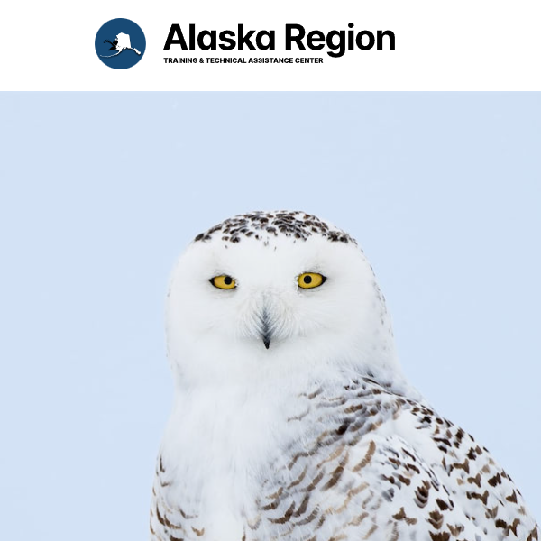 Administration for Native Americans Alaska Region attorney