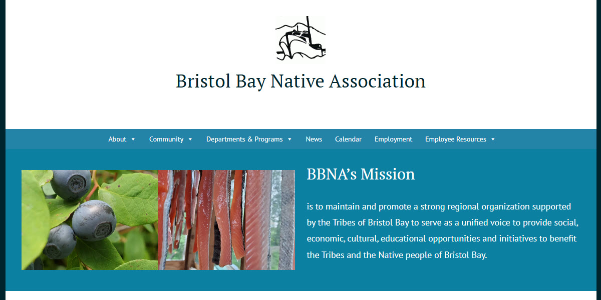Bristol Bay Native Association