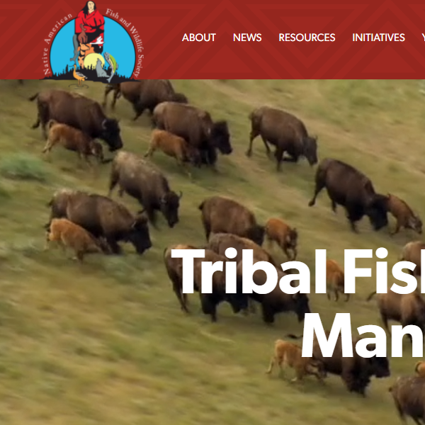Native American Fish and Wildlife Society attorney