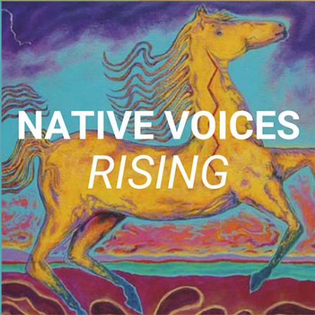 Native American Nonprofits Near Me - Native Voices Rising